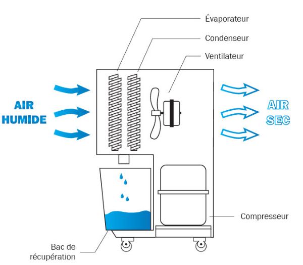 Vue d'ensemble du déshumidificateur d'air DM vue intérieure du déshumidificateur d'air DM